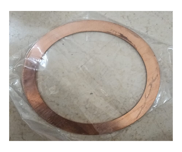 FGHS-01