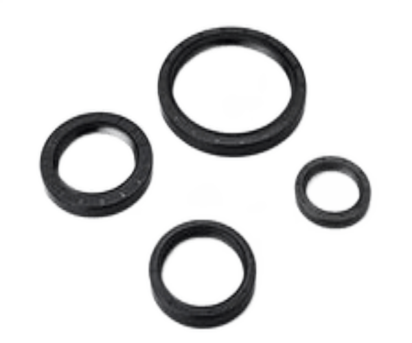 FGOSG-4 Oil Seal Gasket