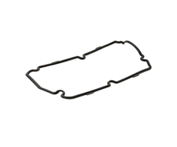 FGVRG-09 Valve Rocker Gasket