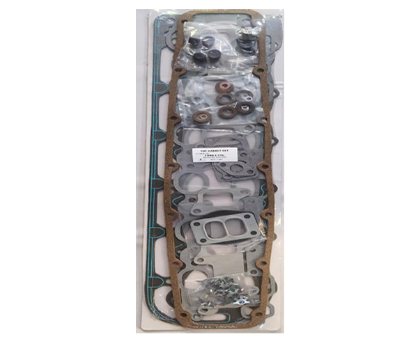 FGEG-25 Engine Gasket